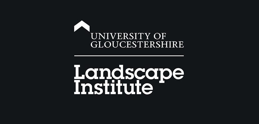 A Professional Friend v2 lozenge