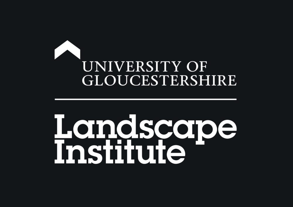 A Professional Friend v2